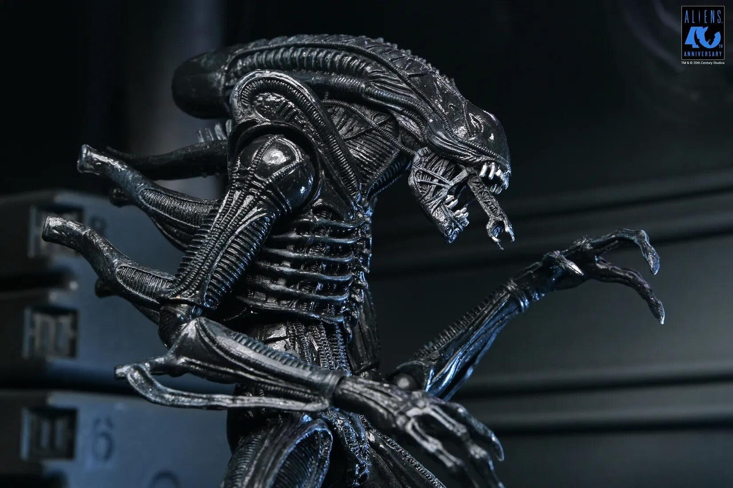 *PRE-ORDER Aliens (1986) 40th Anniversary Ultimate 7 Inch Scale Action Figure - Xenomorph Warrior (Black)