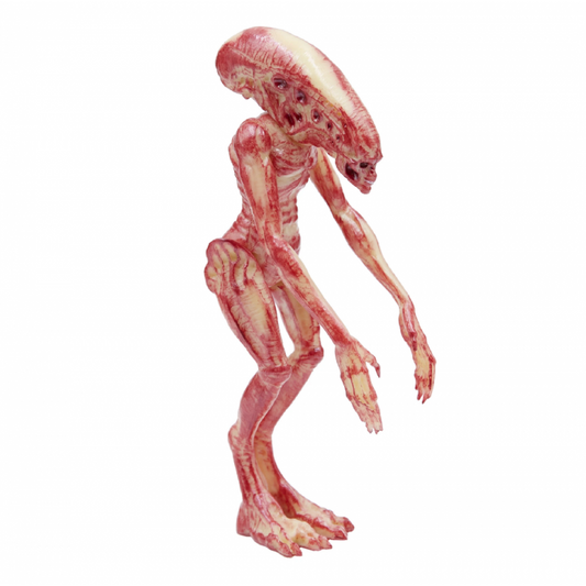 Alien Xenomorph ReAction Action Figure Wave 1 – Alien Newborn
