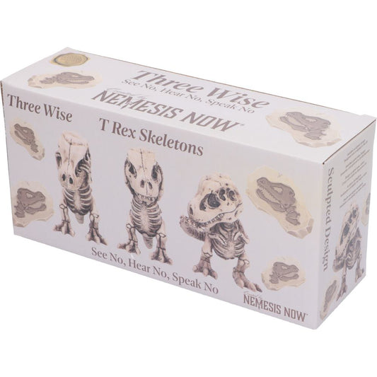 Nemesis Now 4 Inch Resin Collectible Figurine Set - Three Wise Skeleton Tyrannosaurus Rex