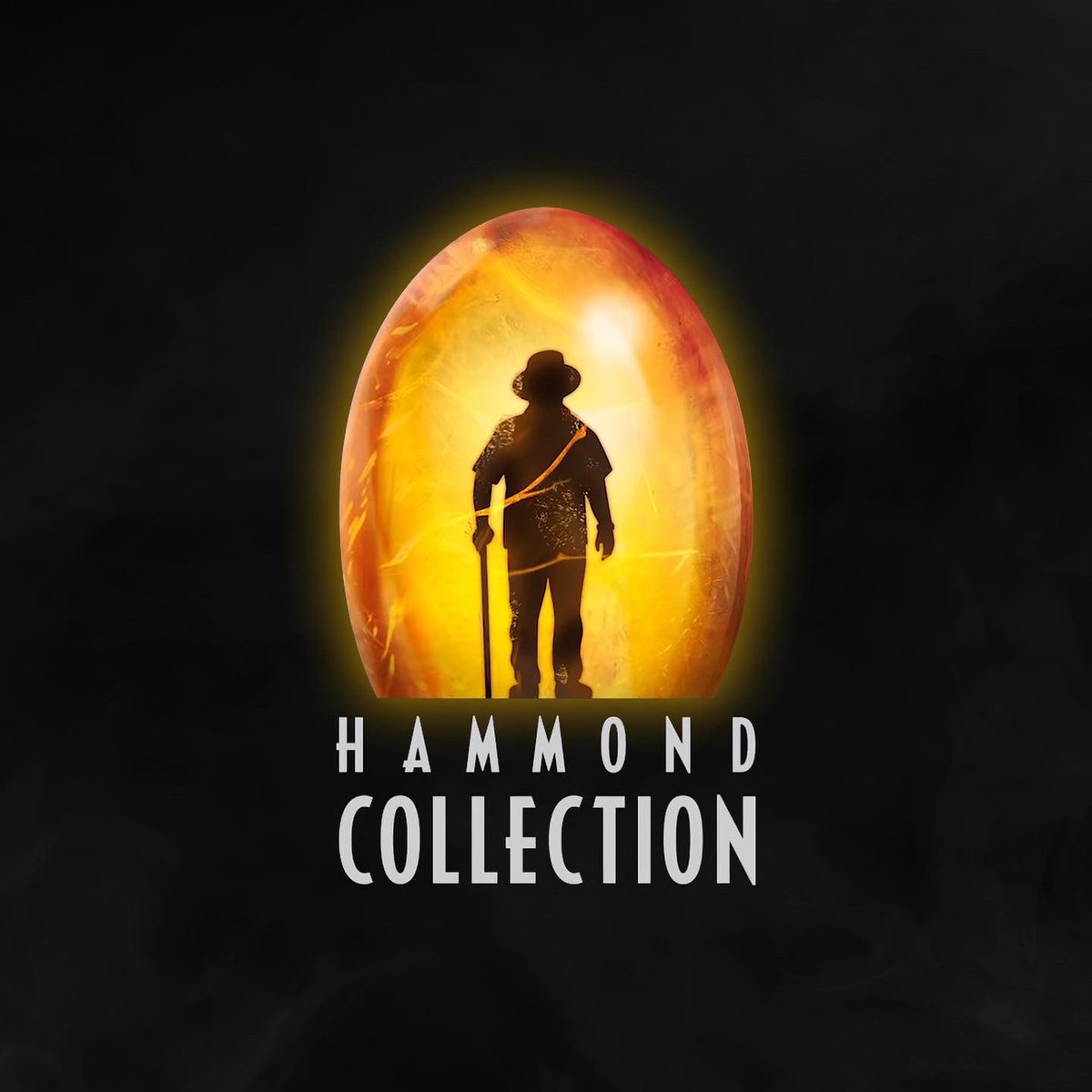 Hammond Collection