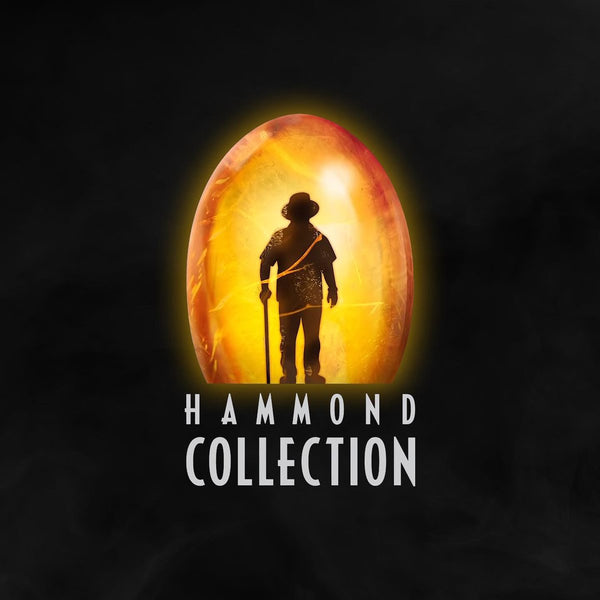 Hammond Collection