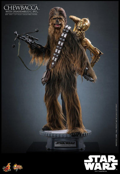 Chewbacca & C-3PO - Star Wars: Empire Strikes Back Hot Toys Collectibles 1/6 Scale Action Figure