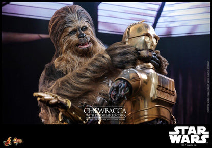 Chewbacca & C-3PO - Star Wars: Empire Strikes Back Hot Toys Collectibles 1/6 Scale Action Figure