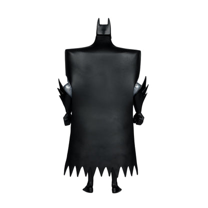 DC Direct: The Batman Adventures 6 Inch Action Figure Wave 5 - Silver Batman