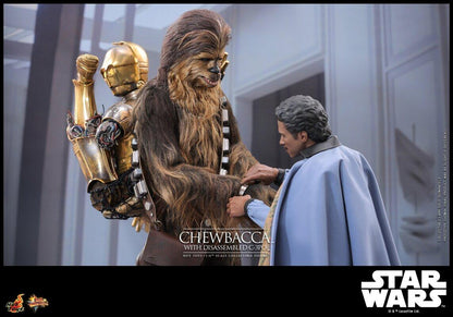 Chewbacca & C-3PO - Star Wars: Empire Strikes Back Hot Toys Collectibles 1/6 Scale Action Figure