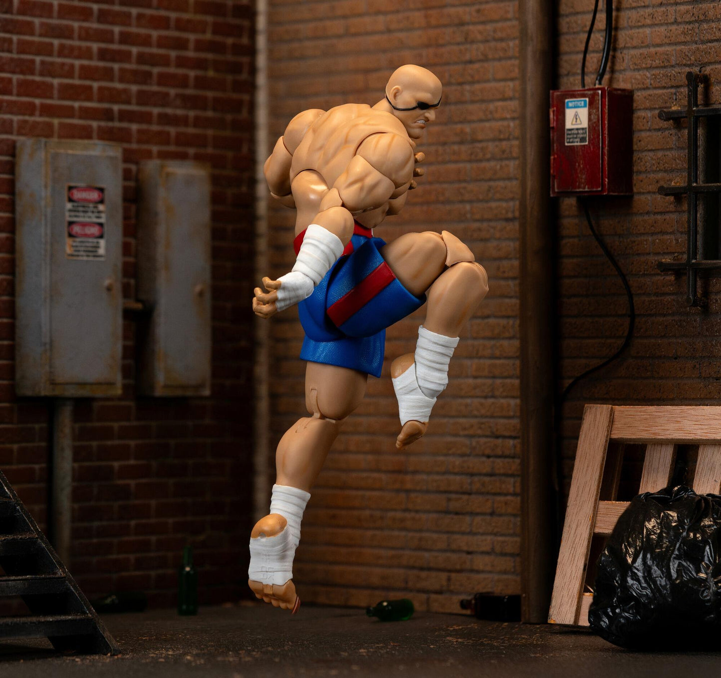 Ultra Street Fighter II 6 Inch Action Figure Wave 4 - Sagat
