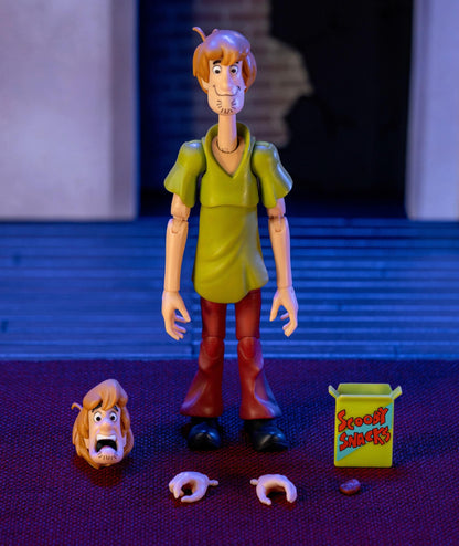 Scooby Doo 6 Inch Action Figure Wave 1 - Shaggy