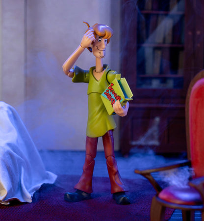 Scooby Doo 6 Inch Action Figure Wave 1 - Shaggy