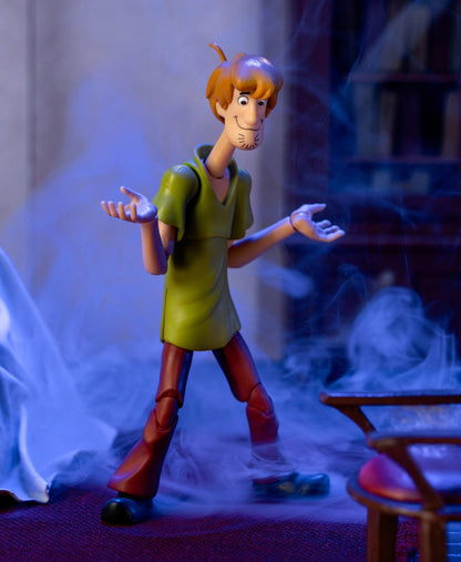 Scooby Doo 6 Inch Action Figure Wave 1 - Shaggy