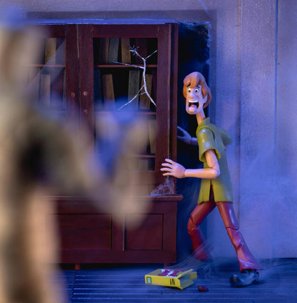 Scooby Doo 6 Inch Action Figure Wave 1 - Shaggy