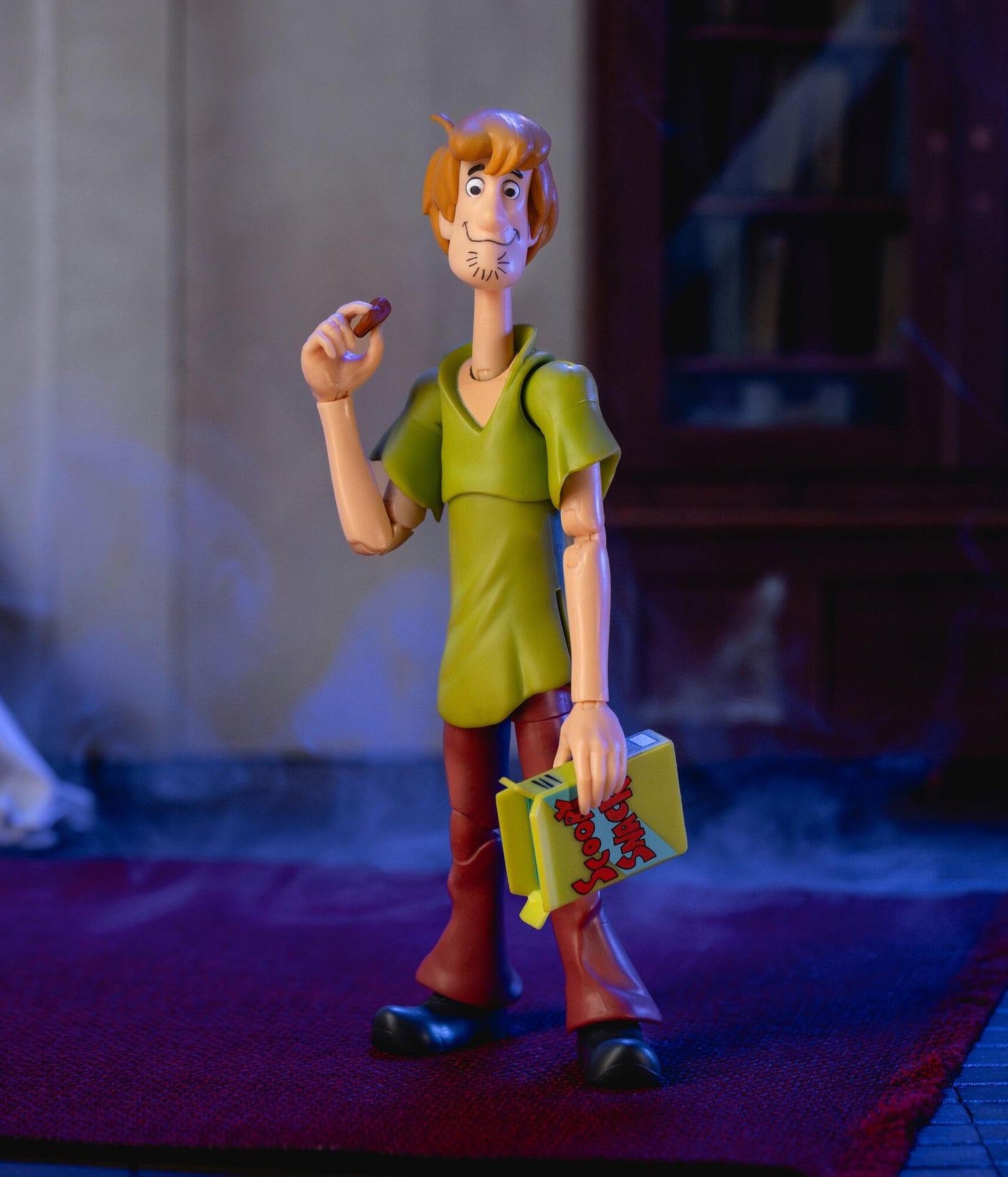 Scooby Doo 6 Inch Action Figure Wave 1 - Shaggy