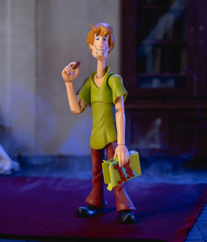 Scooby Doo 6 Inch Action Figure Wave 1 - Shaggy