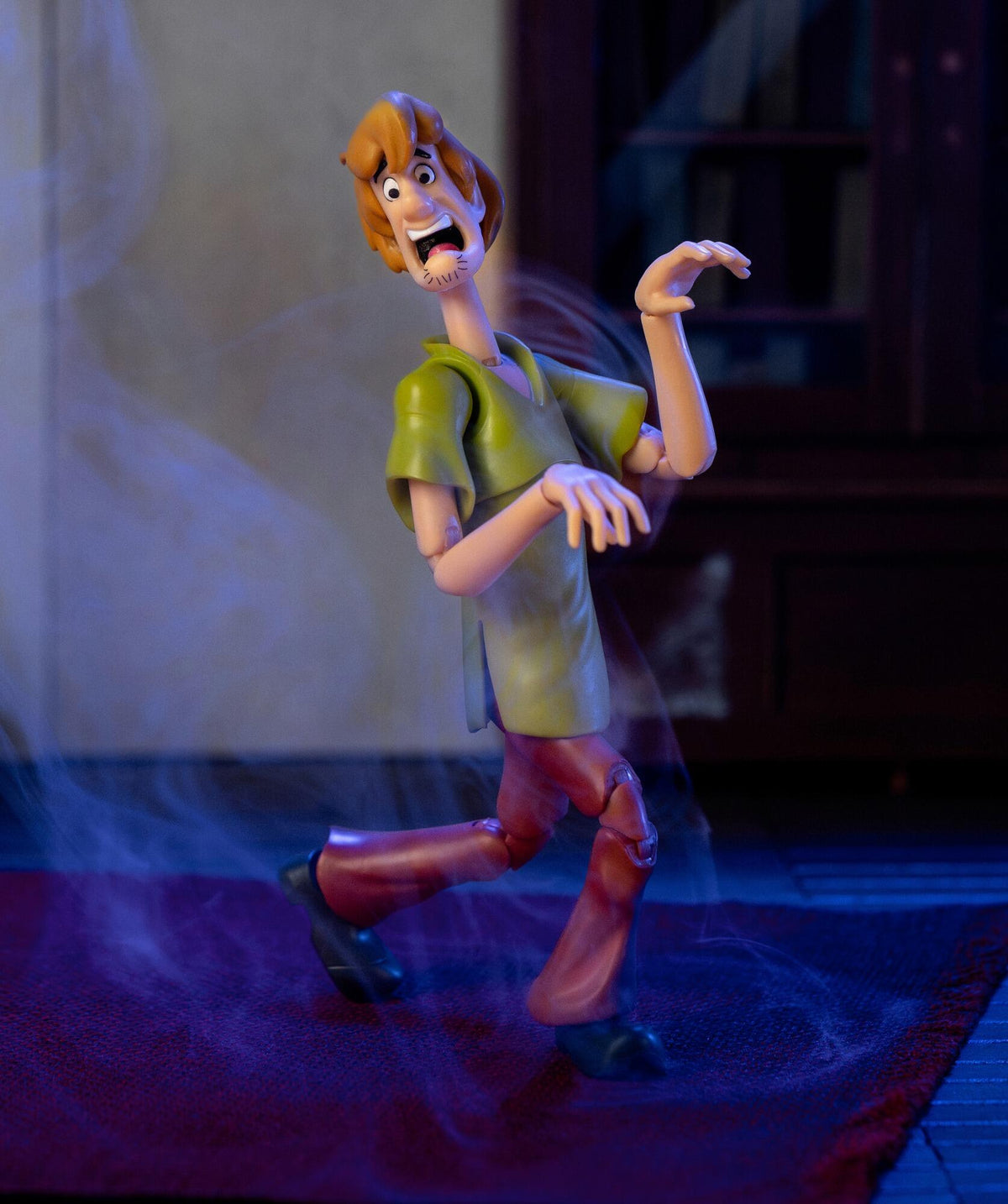 Scooby Doo 6 Inch Action Figure Wave 1 - Shaggy