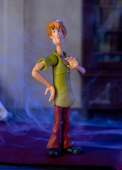 Scooby Doo 6 Inch Action Figure Wave 1 - Shaggy