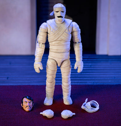 Scooby Doo 6 Inch Action Figure Wave 1 - Mummy of Ankha