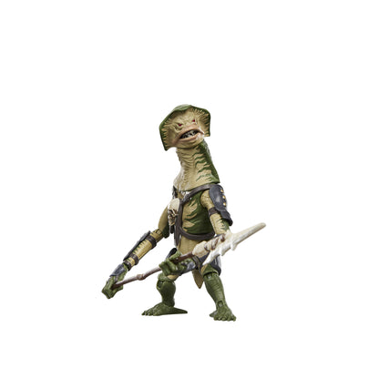 *PRE-ORDER Star Wars The Vintage Collection 3.75 Inch Deluxe Action Figure - Amani Guard