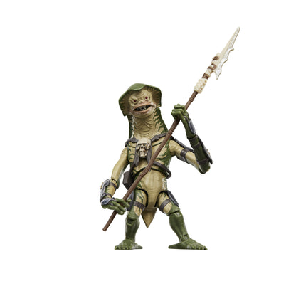 *PRE-ORDER Star Wars The Vintage Collection 3.75 Inch Deluxe Action Figure - Amani Guard