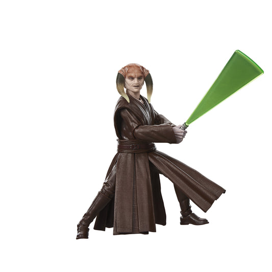 PRE-ORDER Star Wars Black Series 6 Inch Exclusive Action Figure - Saesee Tiin