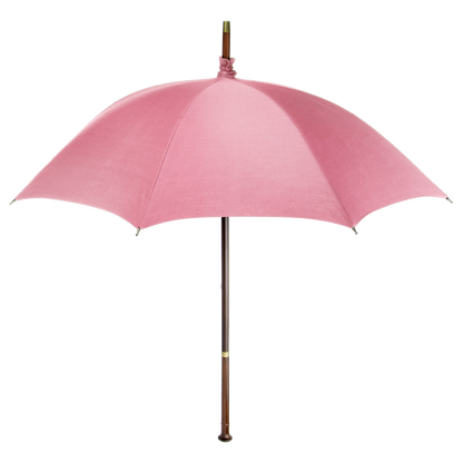 Harry Potter Wand Replica - Hagrid Umbrella & Wand