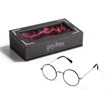 Harry Potter's Glasses