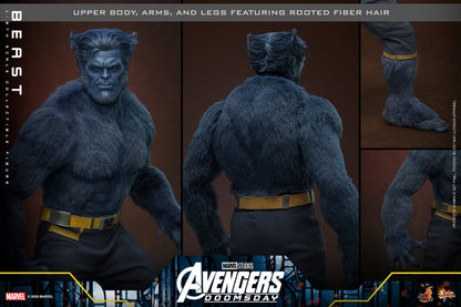 PRE-ORDER Beast - Marvel Avengers Doomsday Hot Toys Collectibles 1/6th Scale Action Figure