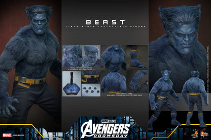 PRE-ORDER Beast - Marvel Avengers Doomsday Hot Toys Collectibles 1/6th Scale Action Figure