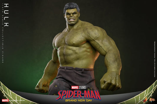 *PRE-ORDER Hulk - Marvel Spider-Man: Brand New Day Hot Toys Collectibles 1/6th Scale Action Figure