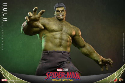 *PRE-ORDER Hulk - Marvel Spider-Man: Brand New Day Hot Toys Collectibles 1/6th Scale Action Figure