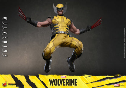 *PRE-ORDER Wolverine - Marvel Wolverine Hot Toys Collectibles 1/6 Scale Action Figure