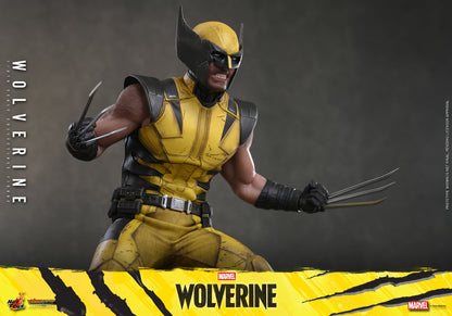*PRE-ORDER Wolverine - Marvel Wolverine Hot Toys Collectibles 1/6 Scale Action Figure