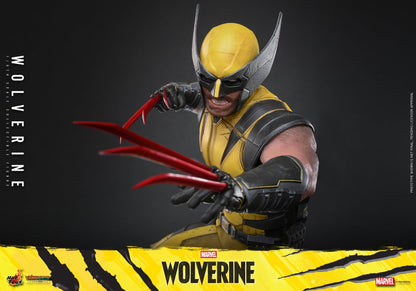 *PRE-ORDER Wolverine - Marvel Wolverine Hot Toys Collectibles 1/6 Scale Action Figure