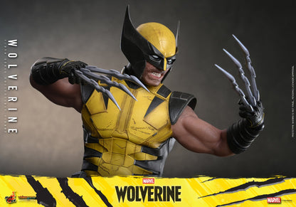 *PRE-ORDER Wolverine - Marvel Wolverine Hot Toys Collectibles 1/6 Scale Action Figure