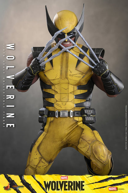 *PRE-ORDER Wolverine - Marvel Wolverine Hot Toys Collectibles 1/6 Scale Action Figure