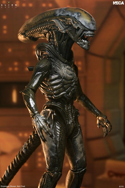 *PRE-ORDER Alien Earth 7 Inch Scale Ultimate Action Figure - Wendy's Xenomorph