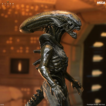 *PRE-ORDER Alien Earth 7 Inch Scale Ultimate Action Figure - Wendy's Xenomorph