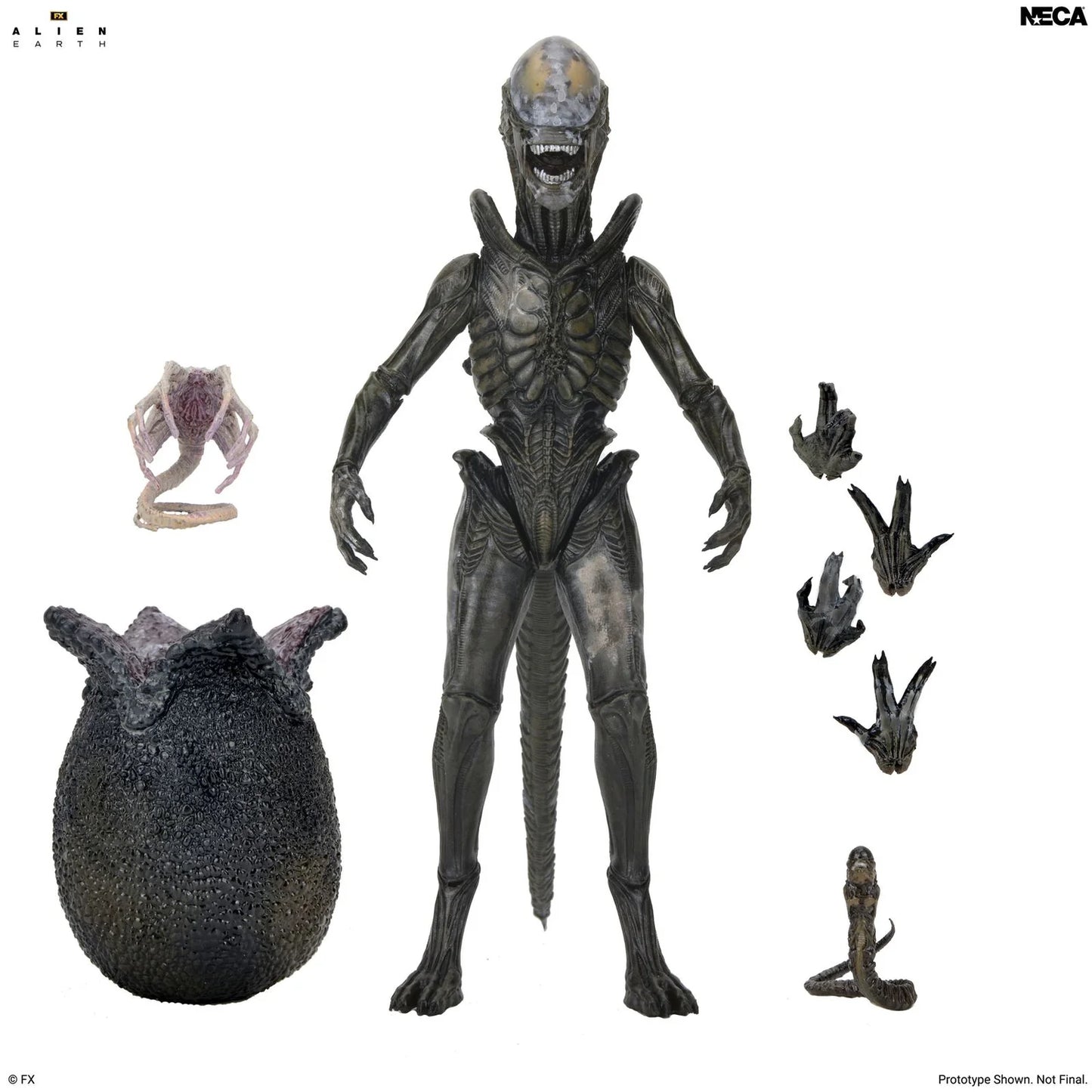*PRE-ORDER Alien Earth 7 Inch Scale Ultimate Action Figure - Wendy's Xenomorph