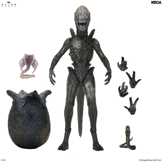*PRE-ORDER Alien Earth 7 Inch Scale Ultimate Action Figure - Wendy's Xenomorph