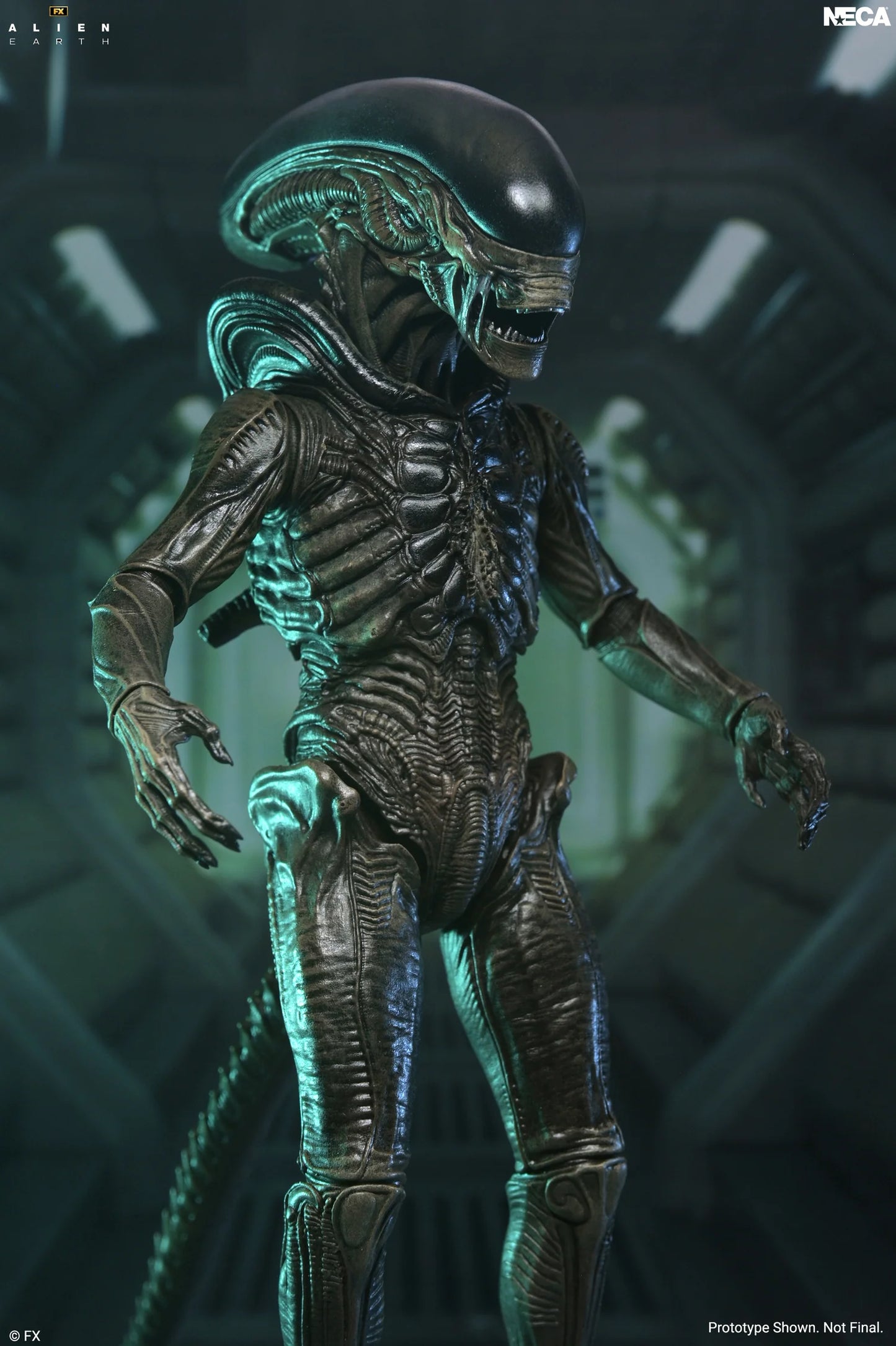 *PRE-ORDER Alien Earth 7 Inch Scale Ultimate Action Figure - Xenomorph