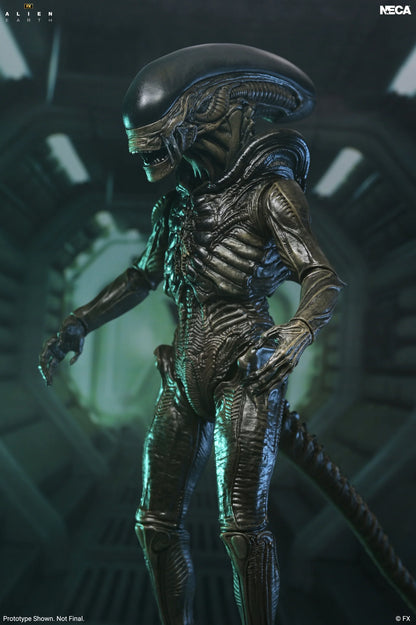 *PRE-ORDER Alien Earth 7 Inch Scale Ultimate Action Figure - Xenomorph