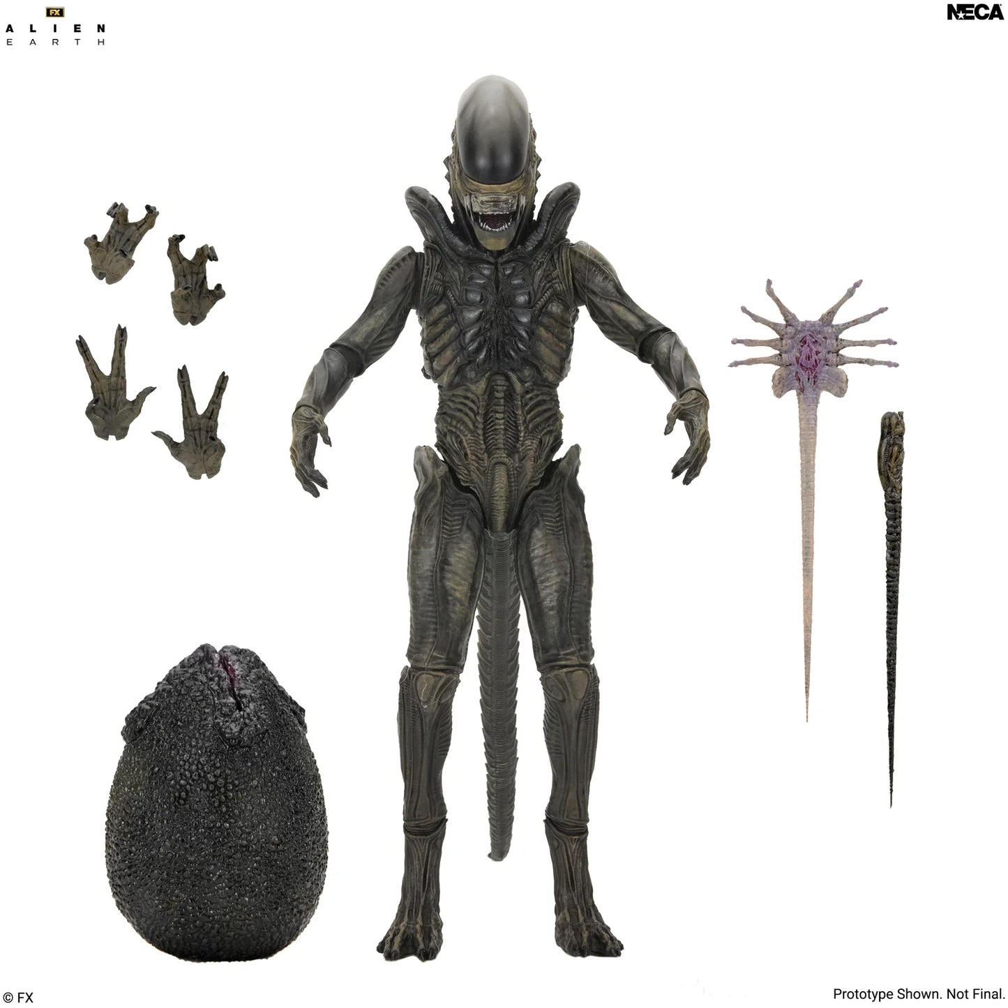*PRE-ORDER Alien Earth 7 Inch Scale Ultimate Action Figure - Xenomorph