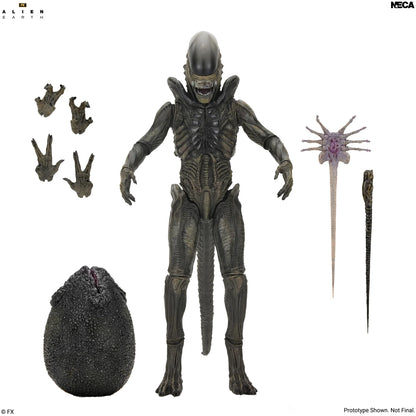 *PRE-ORDER Alien Earth 7 Inch Scale Ultimate Action Figure - Xenomorph