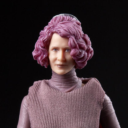 Star Wars Black Series 6 Inch Action Figure Wave 20 - Vice Admiral Holdo