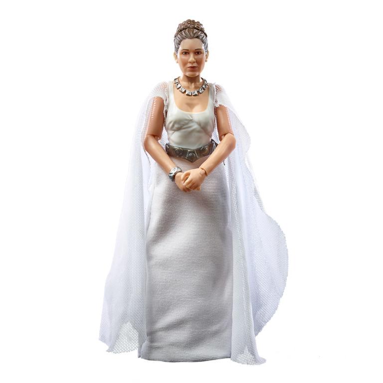 Star Wars Black Series 6 Inch Action Figure Wave 31 - Princess Leia Organa (Yavin IV Ceremonial Dress)