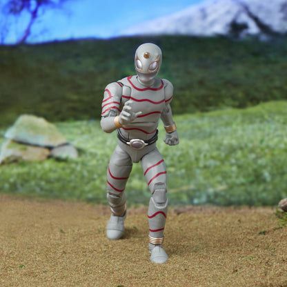 Power Rangers Lightning Collection Action Figure Wave 13 - Wild Force Putrid