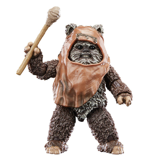 NON MINT Star Wars Black Series ROTJ 40th Anniversary 6 Inch Action Figure Wave 1 - Wicket