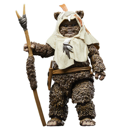 Star Wars Black Series ROTJ 40th Anniversary 6 Inch Action Figure Wave 2 - Paploo