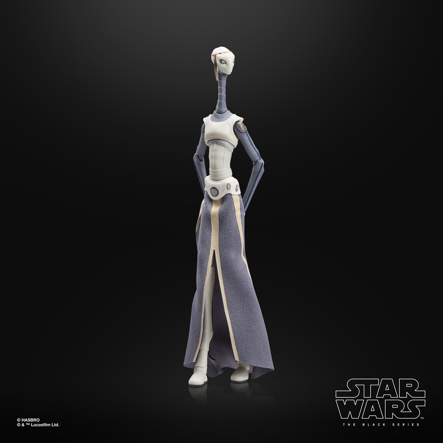Star Wars Black Series 6 Inch Exclusive Action Figure - Taun We