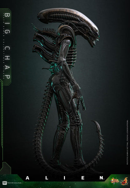 *PRE-ORDER Big Chap Xenomorph - Alien Hot Toys Collectibles 1/6 Scale Action Figure