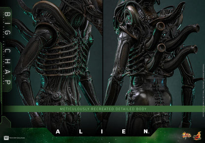 *PRE-ORDER Big Chap Xenomorph - Alien Hot Toys Collectibles 1/6 Scale Action Figure