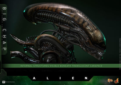 *PRE-ORDER Big Chap Xenomorph - Alien Hot Toys Collectibles 1/6 Scale Action Figure